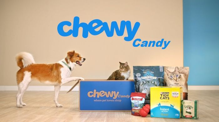 My Dogs Can’t Stop Eating Fresh Dog Food from Chewy